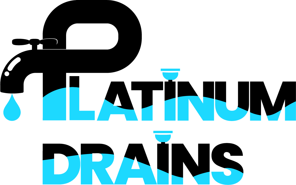 Platinum Drains Logo